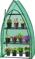 EAGLE PEAK 4-Tier Mini Greenhouse Portable Green House with Shelves & Weather-Resistant PE Cover, Small Greenhouse for Seedlings & Gardening Gifts, 35x18x63 in, Clear/Green