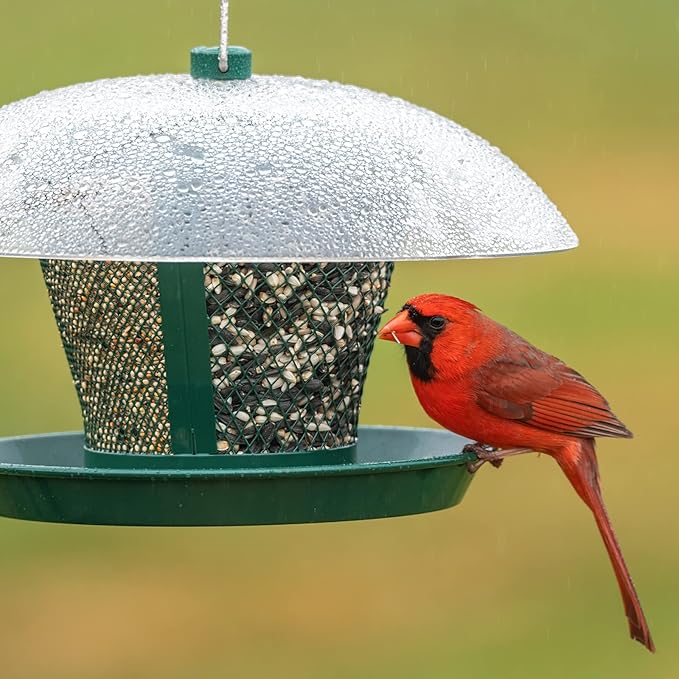 Kingsyard Bird Feeder for Outside, Dual-Use Metal Mesh Wild Bird Feeder with Weatherproof Dome Dual, 2.5 lbs Seed Capacity for Finch Cardinal