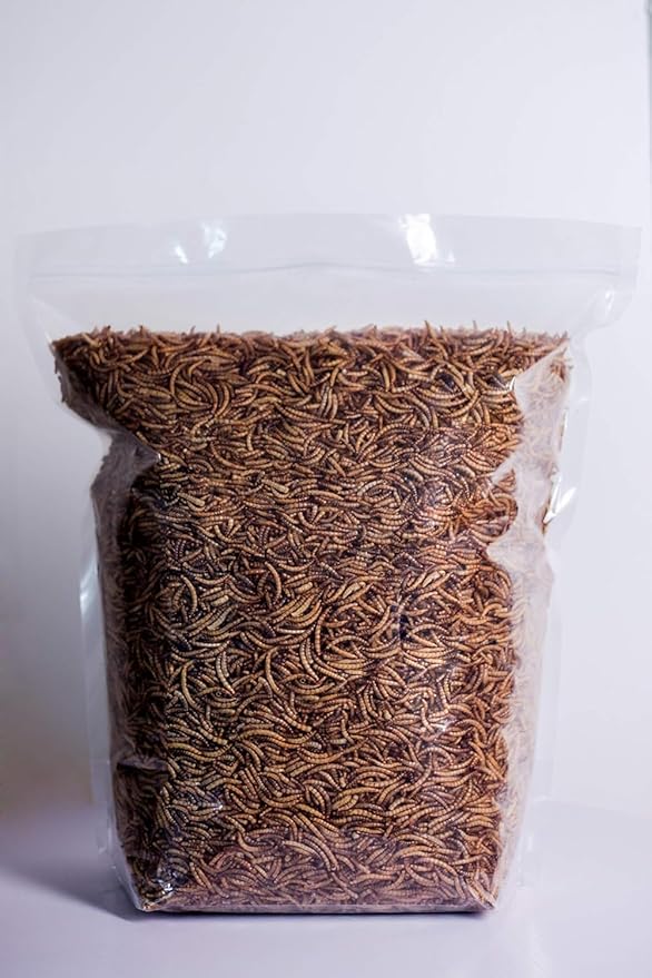 kimoe Bulk Dried Mealworms 10LB 100% Natural Non-GMO Dried Mealworms -High-Protein for Birds, Chicken，Ducks
