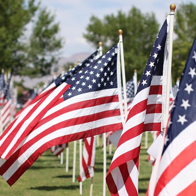 6x10FT American Flag Outdoor -USA Heavy Duty Nylon US Flags Long Lasting US Flag with Embroidered Stars, Sewn Stripes & Brass Grommets Water-Resistant Perfect for Outdoor Use All Weather