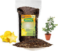 GARDENERA Premium Carambola Potting Soil Mix - Perfect Balance of Nutrients, Drainage, and Aeration for Thriving Starfruit Trees - 5 Quart