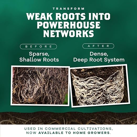 DYNOMYCO Granular Mycorrhizal Fungi Inoculant, 100g/3.5oz – Boosts Root Growth, Yields & Nutrient Uptake – 900 Propagules/g, Concentrated Granules, & OMRI Listed – Biofertilizer for Plant Growth