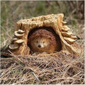 Roman – 5.75" Hedgehog Wood-Look Garden Statue – Timber Tails Collection – Cute Outdoor Decor for Patio, Yard, or Garden