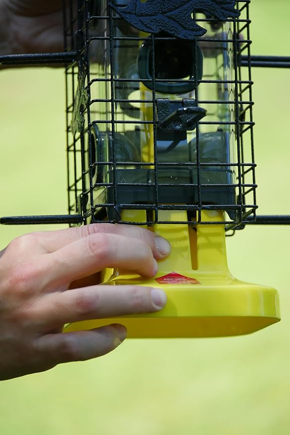 Squirrel Solution200 Squirrel-proof Bird Feeder w/6 Feeding Ports, 3.4-pound Seed Capacity, Free Seed Funnel