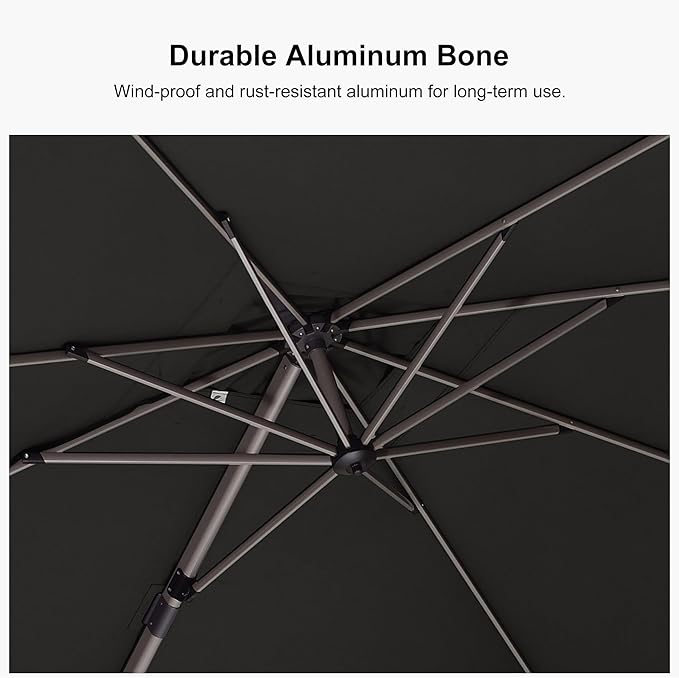 PURPLE LEAF 10' X 10' Patio Umbrella Outdoor Cantilever Umbrella, Aluminum Offset Umbrella with Champagne Frame and 360° Rotation for Pool Deck Garden, Grey