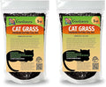 Gardenera Cat Grass Growing Medium - Provide Your Cat with a Fun and Healthy Source of Greens - 20 QUARTS