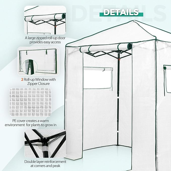 EAGLE PEAK Instant Pop-up Greenhouse, Indoor Outdoor Plant Gardening Green House, Roll-Up Zipper Doors and Side Windows, Walk in 6x4 ft, PE Cover, White/Clear