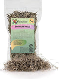 Gardenera Premium Natural Spanish Moss | Natural Preserved - Great Ground Cover - Filler for Potted Plants - 5 Quart Bag