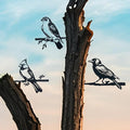 3pcs Black Metal Art Bird Ornaments for PatioTree, Country Farmhouse Style Outdoor Art, Metal Yard Art Outdoor and Garden Decorations,(Includes Cardinal & Raven & Hawk)