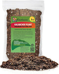 Gardenera Kalanchoe Plant Premium Potting Mix - Maintain Ideal Air and Moisture Balance for Success - 3 Quart