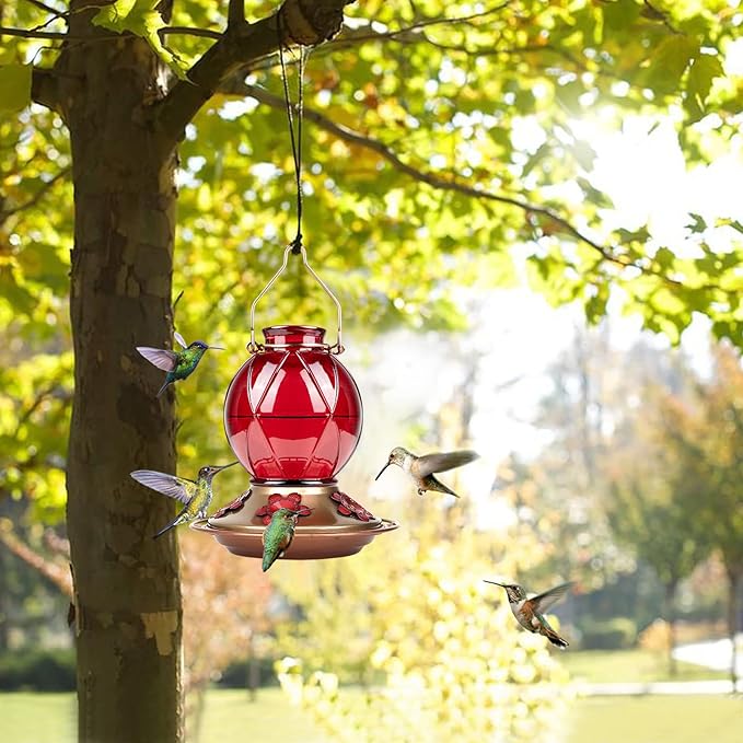 BOLITE Hummingbird Feeder, Glass Hummingbird Feeder for Outdoors, Meshy Texture Ball Shape Bottle, 20 Ounces, Red, Birthday Gifts for Women Men, Gifts for Mom Dad