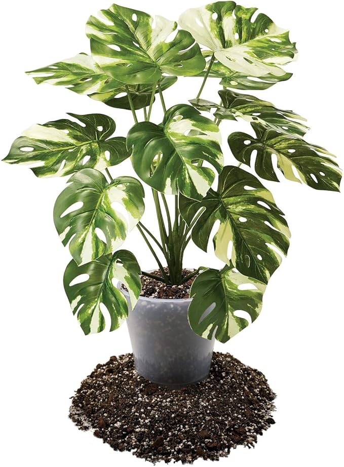 Premium Aroid Potting Mix - Soil Free Blend for Aroids - Growing Medium for House Plants by Gardenera - (1 Quart Bag)