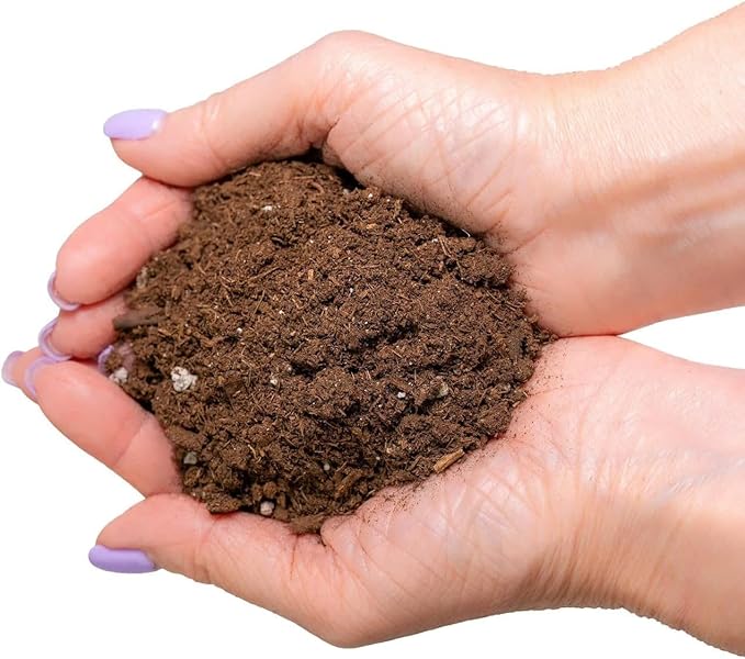 GARDENERA Premium Dracaena Potting Soil Mix - (1 Quart Bag)
