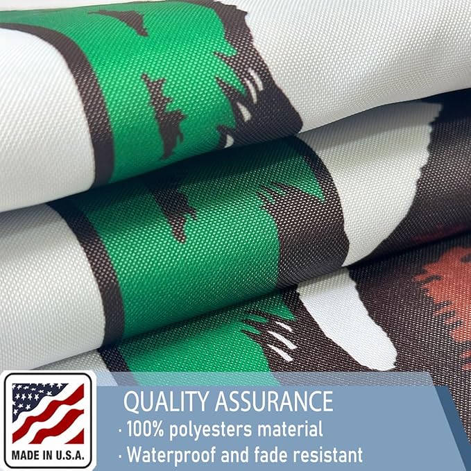 California Republic State State Flags 5x8Outdoor Heavy Duty Double Sided Nylon Vivid Color Anti-Fading with 3 Brass Grommets for Home/Company/Indoor Outdoor Decoration