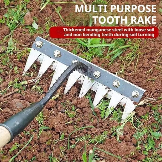 Gardenia Iron Weeding Rake, 2025 Gardenia Iron Weeding rake, Ironrake The Heavy-Duty Irons Weedings Rakes,Irons Rakes for Gardening and Weedings (5 Teeth) (5 Teeth)