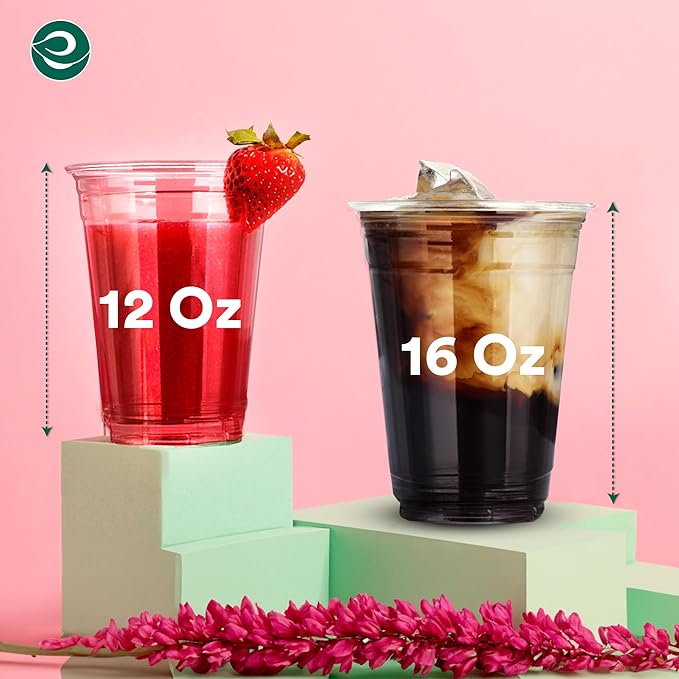 ECO SOUL 100% Compostable, Disposable Party Cups | Eco-friendly Party Cups | (200 Count, 16 oz Cold Cups)