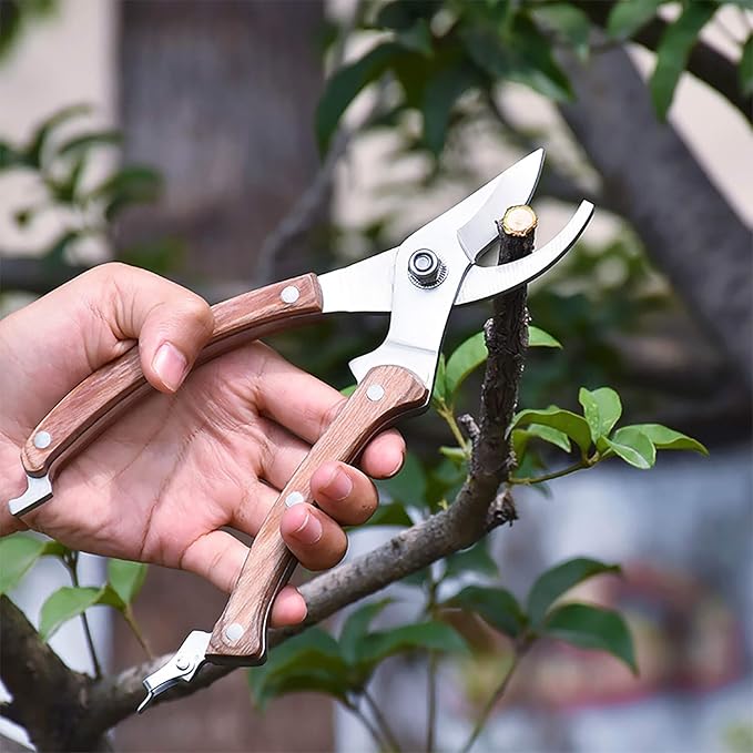 BUGUI Wood Handle Pruning Shears, SK-5 Steel Blade, 1-inch Cutting Capacity, Sharp, Well Designed Garden Shears, 8"