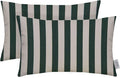 RSH DECOR: Sunbrella Lumbar Throw Pillows Set of 2 | 20" x 12" | Water and Fade-Resistant Performance Fabric | Outdoor Pillow Covers with Down-Alternative Inserts | Mason Forest Green