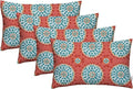 RSH DECOR: Lumbar Throw Pillows Set of 4 | 20” x 12" | All-Weather Spun Fabric | Water and Fade-Resistant | Outdoor Support Pillows for Patio Furniture | Watermelon Sundial