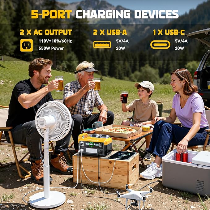 550W Power Station Compatible with Dewalt: LIVOWALNY Portable Generator DC 20V to AC 110-120V, Pure Sine Wave Power Inverter Battery Adapter Phone Charger 2 USB-A & 1 Type-C & 2 AC Outlet (Tool Only)