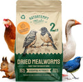 Hatortempt Dried Mealworms - 2 Lb Bag - High Protein Chicken Feed, Mealworms for Birds & Chickens - Meal Worms for Wild Birds & Turtles