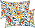 LVTXIII Set of 2 Patio Lumbar Pillows, 12”x20” Fade Resistant Outdoor Lumbar Pillow with Inners, Fluffy Decorative Garden Lumbar Cushions for Home Patio Coach Sofa Use, Paisley Multi