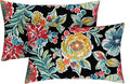 RSH DECOR: Lumbar Throw Pillows Set of 2 | 20” x 12" | All-Weather Spun Fabric | Water and Fade-Resistant | Outdoor Support Pillows for Patio Furniture | Colsen Noir