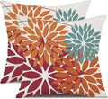 DFXSZ Outdoor Throw Pillow Covers 18x18 Inch Set of 2 Waterproof Spring Summer Geometric Elegant Burnt Orange Outdoor Pillow Covers for Patio Funiture Garden Couch 168D18