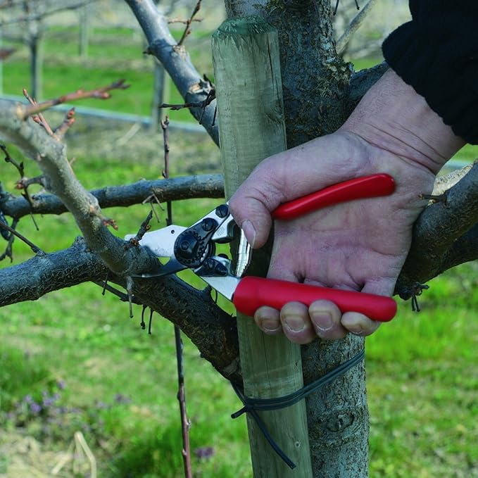 Felco F6 Pruning Shears – 7.7" Swiss-Made Garden Clippers for Medium Hands | Hand Pruners for Gardening | Garden Tool Cutter with Precision Bypass Blade, Forged Aluminum Handles, Replaceable Parts