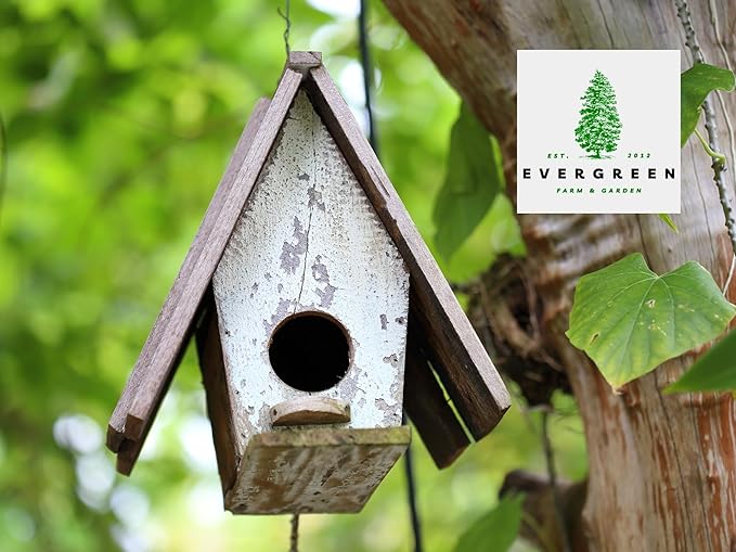 Birdseed Cylinders with Hole - Bird Seed for Outside Wild Birds (Small Cylinder, Four Seasons Flight 2pc)