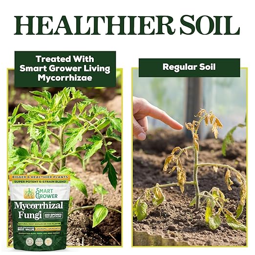 Mycorrhizal Fungi Organic Root Enhancer for Plants, Super Potent 100 Spores Per Gram, 5-Strain Blend, Rapid Results for Gardens, Houseplants, Lawns, Mycorrhizae Smart Grower 250 Grams for 250 Plants