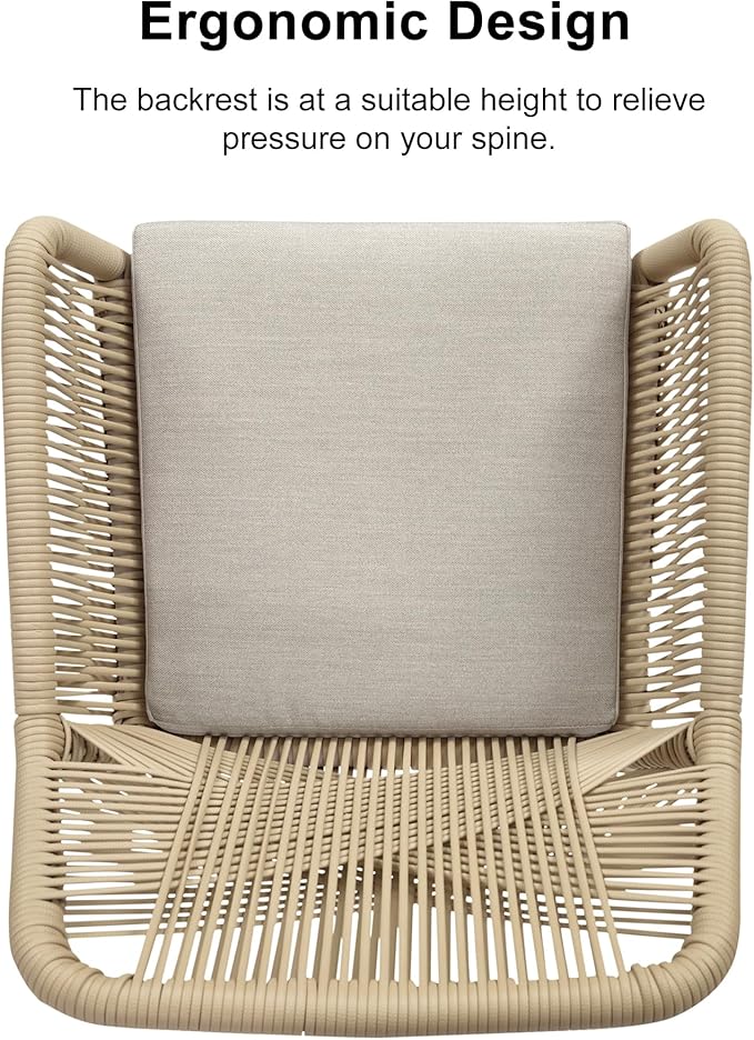 PURPLE LEAF 12 Pieces Outdoor Patio Dining Sets All-Weather PE Rattan Furniture Set with All Aluminum Frame Outdoor Table and Chairs Set for 10 People Lawn Garden Backyard Deck, Champagne