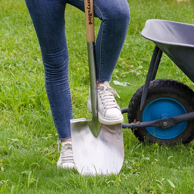 Berry&Bird Round Point Gardening Shovel with Wood D-Handle, 40.98" Stainless Steel Beach & Snow Shovel