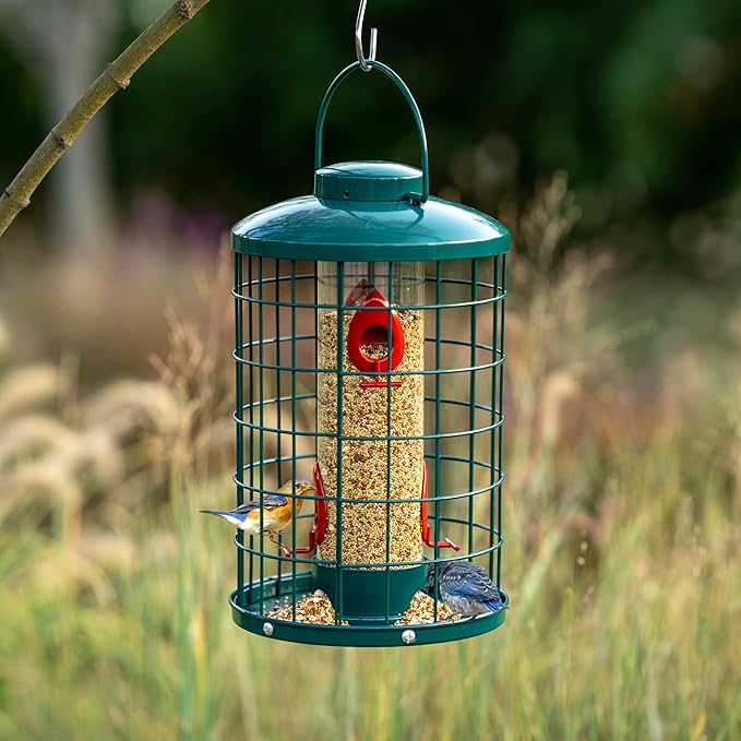 Caged Bird Feeder for Wild Birds Outside, Large Squirrel-Proof Heavy-Duty Metal Hanging Tube Bird Feeder, 4 Feeding Ports, 13.2'' High, 3LB Seed Capacity (Green)