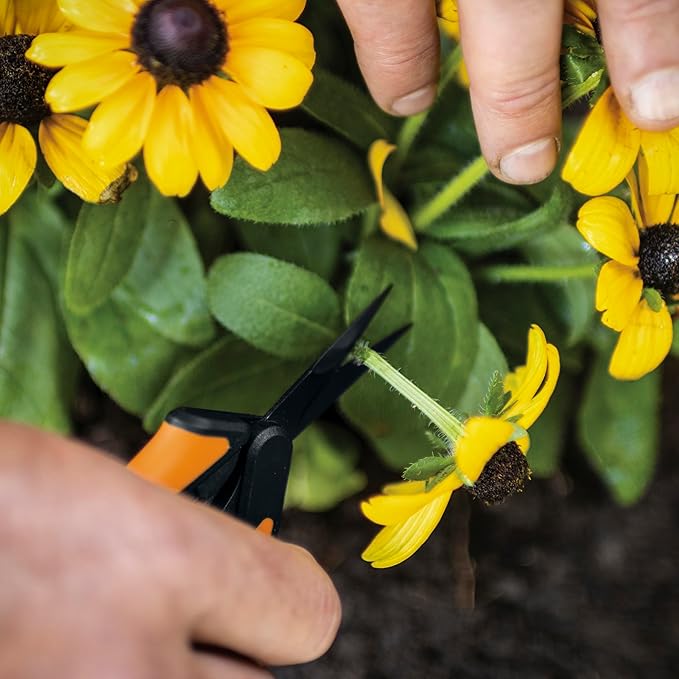 Fiskars Micro-Tip Rose Pruning Shears, 6" Garden Shears Non-Stick Coated Stainless Steel Blade, Gardening Scissors with SoftGrip Handle