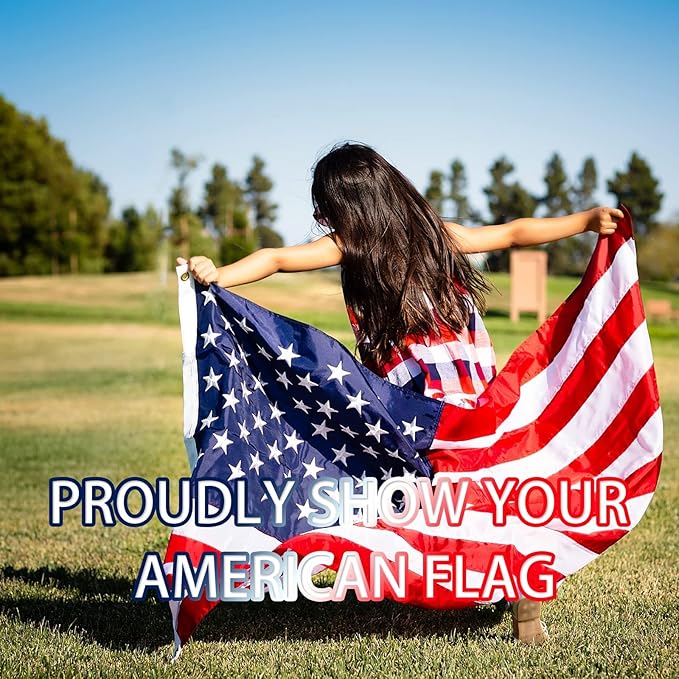8x12 FT American Flag for Outside, Best Embroidered Stars and Sewn Stripes, 210D Heavy Duty Polyester, Suitable for Outdoor High Winds Areas (American flag 8x12 FT)