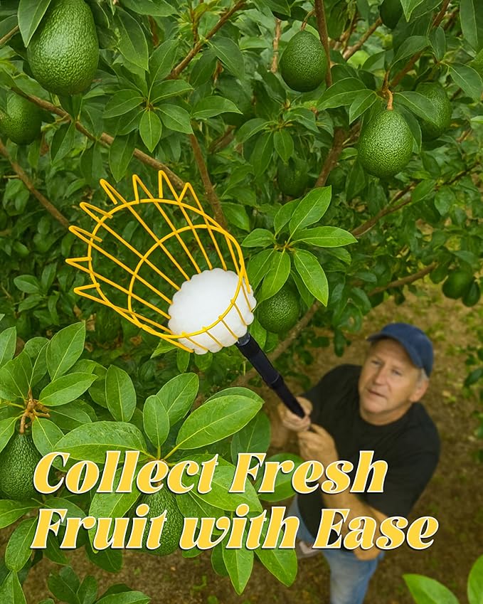 13.5FT Fruit Picker, Apple Picker Tool with Adjustable Pole and Basket, Long Reach Mango Grabber Tool, Tree Fruit Catcher for Picking Lemon Pear Orange Avocado Peach Citrus