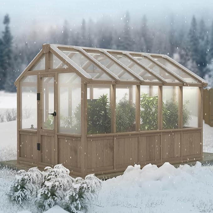 BlueWish 6x10FT Greenhouse, Greenhouses for Outside with Cedar Frame, Wood Greenhouse with Adjustable Vent, 6MM Polycarbonate Panel, Green House for Outside, Garden, Backyard