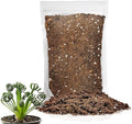 Gardenera Premium Albuca Spiralis Potting Soil Mix - Perfect Balance of Nutrients, Drainage, and Aeration for Thriving Blooms - 5 Quart