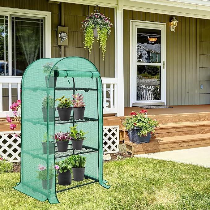 EAGLE PEAK 4-Tier Mini Greenhouse Portable Green House with Shelves & Weather-Resistant PE Cover, Small Greenhouse for Seedlings & Gardening Gifts, 32x18x63 in, Clear/Green