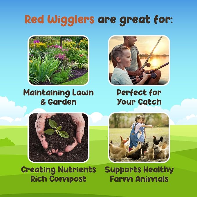 Red Wigglers Composting Worms - 1/8lb Red Worms for Composting Bin, for Plants or Gardening, Compost Worm for Soil Fertility & Worm Farm, Easy to Manage