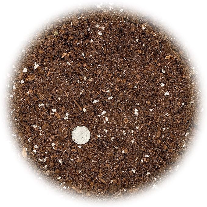 GARDENERA Citrus Tree Potting Soil Mix, Special Blend for Indoor Oranges, Lemons, Limes and More - (3 Quart Bag)