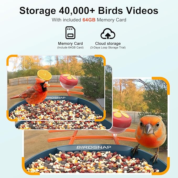 birdsnap® PAV- Bird Feeder with Camera Solar Panel, 2K HD & 64GB Card, AI Identify Bird Species Smart Bird House with Camera, Record Video Live View, Auto Capture, Ideal Gift for Birds Lover
