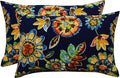 RSH DECOR: Lumbar Throw Pillows Set of 2 | 20” x 12" | All-Weather Spun Fabric | Water and Fade-Resistant | Outdoor Support Pillows for Patio Furniture | Daelyn Navy
