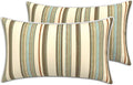 LVTXIII Outdoor Lumbar Pillow Covers 12"x20", Covers ONLY, 2 Pack 30x50cm Lumbar Cushion Cover with White Piping for Home Patio Garden Sofa Bench, Stripe Onyx