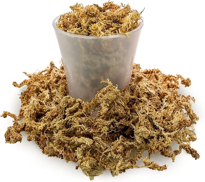 Premium New Zealand Sphagnum Moss by Gardenera - Organic Hand Mixed Long Fibered Sphagnum Moss Orchid - 1 Quart