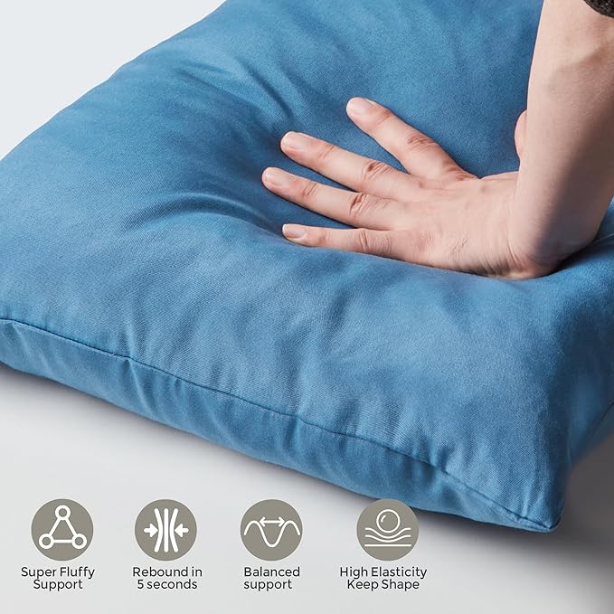 Outdoor Pillows Set of 2, 22''×22''Waterproof Throw Pillow for Patio Furniture, Feathers and Down Filled Outside Decorative Pillows Inserts for Garden, Porch Swing, Couch and Sofa