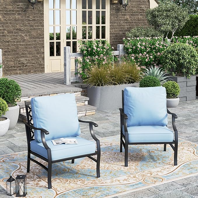 HERA'S HOUSE Outdoor Chairs Set of 2, 2 x Patio Chair with Blue Cushions, All Weather Outdoor Furniture for Lawn Garden Backyard Deck(Leg Chairs)