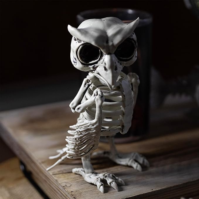 SCS Direct Owl Skeleton Halloween Decoration (2 Pack) - 6.5" Long - Weather Resistant for Indoor/Outdoor - Upgrade Your Fall Graveyard Haunted House Party Props, Trick-or-Treat Decor