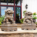 Zaer Ltd. Set of 2 Traditional Fu Dog Garden Statues, Chinese Guardian Lion Sculptures with Pedestals, Made with Magnesium-Cement (Aged Bronze)